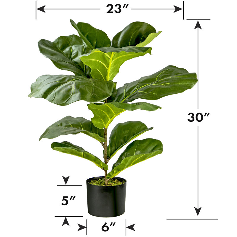 30'' Faux Fiddle Leaf Fig Plant in Pot & Reviews Birch Lane